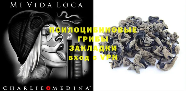 прущие грибы Верхний Тагил