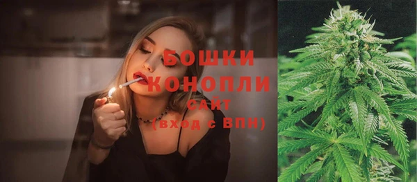 спайс Тавда