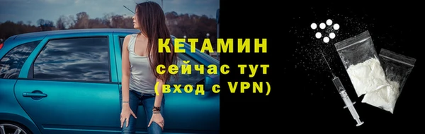 прущие грибы Верхний Тагил