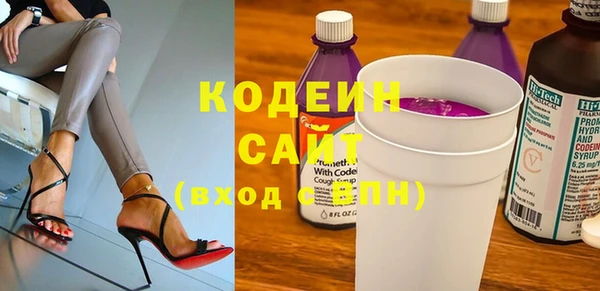 прущие грибы Верхний Тагил