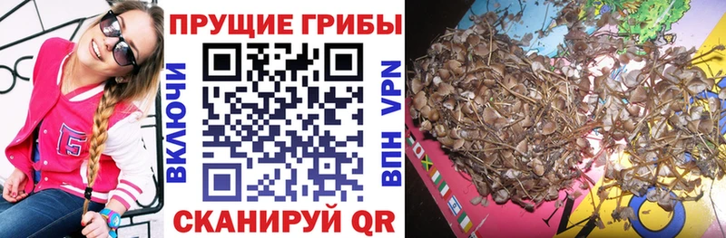 Галлюциногенные грибы прущие грибы  мориарти клад  Злынка 